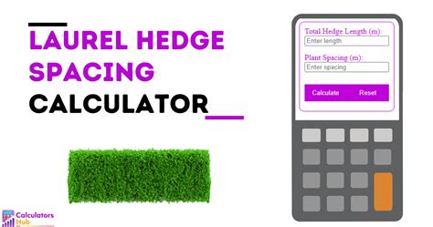 hedge calculator online